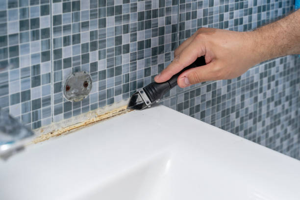 Best Fast Mold Removal  in Imperial Beach, CA